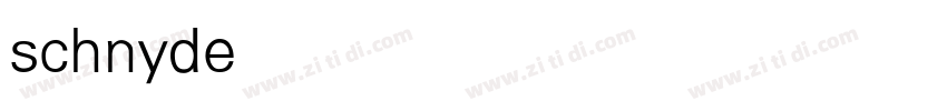 schnyderXL Light字体转换